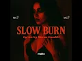 Slow Burn - Meesa s Manic Mind