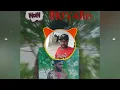 Download Lagu 🌴lagu acara remix terbaru dezine 2022🌴🔥🌴