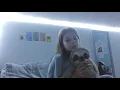 my sloth collection