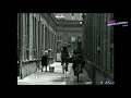 JAVIER SOLIS PAYASO VIDEO VIÑETA