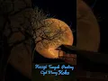 Download Lagu karaoke kacapi tengah peuting #shorts#mangkoko#karaokekacapi#karaokemangkoko