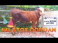 Download Lagu Stok TERBARU FULL DOROAN  ✅️✅️ BANYAK PROMO AKIR TAHUN‼️ MP3