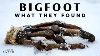 Scientists Finally Found the Truth About the Yeti