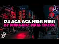 Download Lagu DJ ACA ACA NEHI NEHI BY DINDA KIKY VIRAL TIKTOK YANG KALIAN CARI DJ ACA ACA NEHI NEHI DJ KIKY RMX
