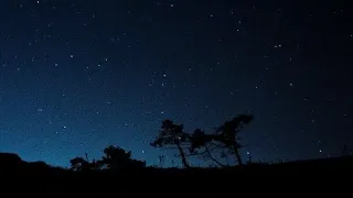   فلا تعلم نفس ما أخفي لهم من قرة أعين   إسلام صبحي دندنها