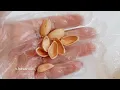 Don’t Throw Away Pistachio Shells! I Made 30 Pairs of Resin Earrings & Sold Them All!