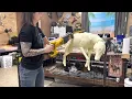 Altering a taxidermy form - you can make it whatever you want