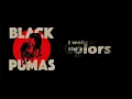 Black Pumas - Colors [Lyrics on screen]