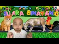 Download Lagu SUARA BINATANG Lagu Lucu Si Botak - Original Song By Kbeeb Sing TV #suarabinatang #laguanak