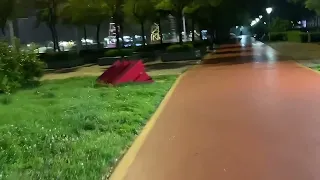 Relaxing Rainy Night Ambience 🌧️ Neon Streets After Rain