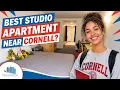 Best Studio Apartment Near Cornell Collegetown Center Full Tour
