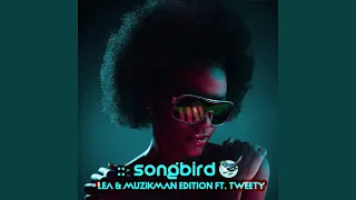songbird