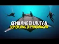 Download Lagu Ikan Peh Tidak Boleh Dianggap Remeh #AlamSemenit