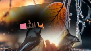 اجمل انشوده كون سبح هلل حصريا 2025 بصوت المنشد احمد سليمان 