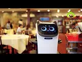 BellaBot at Golden Ocean Seafood in Vancouver