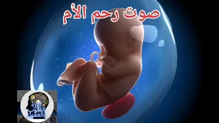 ساعتين من صوت الضوضاء البيضاء صوت رحم الأم ل نوم صحي وعميق للرضيع 