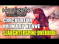 Slaughterspine Override Slaughterspine Circulator Primary Nerve Horizon Forbidden West