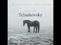The Snow Maiden, Op. 12 (Exerpts) : 5a. Melodrama. Allegro vivo