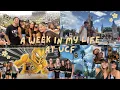 Week In My Life at UCF