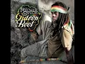 Richie Spice - Babylon Falling