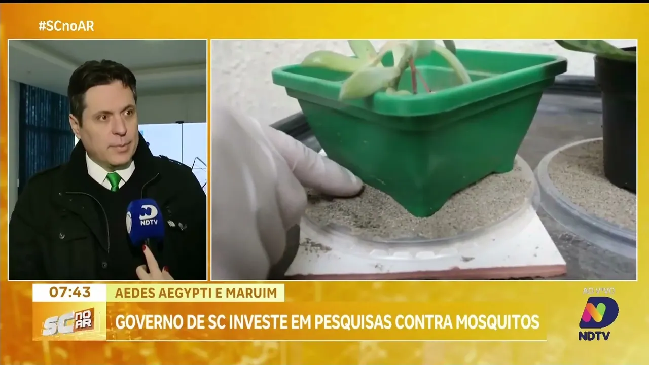 Governo de SC investe em pesquisa contra mosquito Aedes Aegypti e Maruim