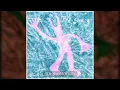Gezebelle Gaburgably - Ode to a Peppercorn (nightcore/sped up)