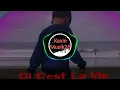 Lagu Dj C'est La Vie || Viral Tik Tok 2020 (NEW REMIX)
