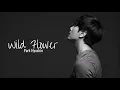 Park Hyoshin - Wild Flower (Han|Rom|Eng Lyrics) | by baekhyunkkaebsong