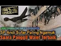 Download Lagu Suara Panggil Walet Andi Sufar Paling Ngamuk dan Banyak Di Gunakan Di Indonesia