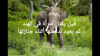 فيل يودي بحياة امرأة في الهند ثم يعود مجددا لدهس جنازتها  فيل يودي بحياة امرأة في الهند ثم يعود مجددا لدهس جنازتها