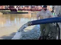 The Ohio Division of Wildlife stocking the Cuyahoga River with steelhead trout