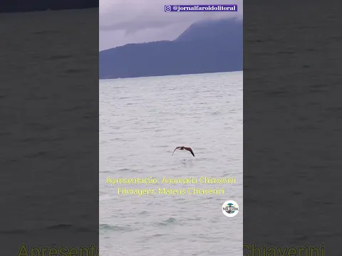 🟢Visitamos Ilhabela: Vale a pena o passeio visitar a Ilha com pouco tempo de Viagem? Guia do Farol