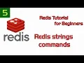 Redis Tutorial for Beginners 5 - Redis strings commands