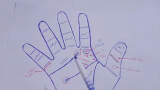 مازن البيضاني علامات الثراء والحظ في الكف  مازن البيضاني علامات الثراء والحظ في الكف