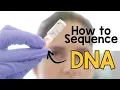 Life in the Lab A DNA sequencing pipeline