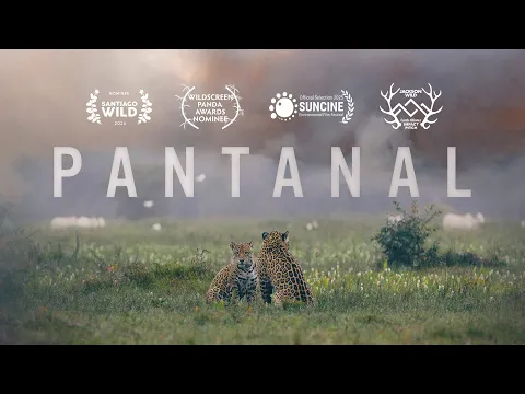 Pantanal – Trailer