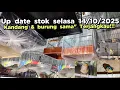 Download Lagu UP DATE STOK SELASA 14/10/2025❗❗❗ KANDANG \u0026 BURUNG SAMA\
