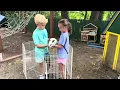 Alpaca walkers 2026