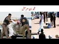 Download Lagu Muhammad Bin Mursal | Nadir Al Sharari Death | Tauqeer Baloch