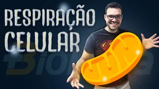 Respiração celular e produção de ATP - Resumo Completo para o Vestibular e ENEM!