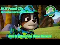Lagu PAW Patrol-Clip (Die Rückkehr der Dino-Rettung) | Rex ist zurück bei der Dino-Rettung