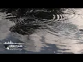 Direct & AK - Sehnsucht [Monstercat Release]