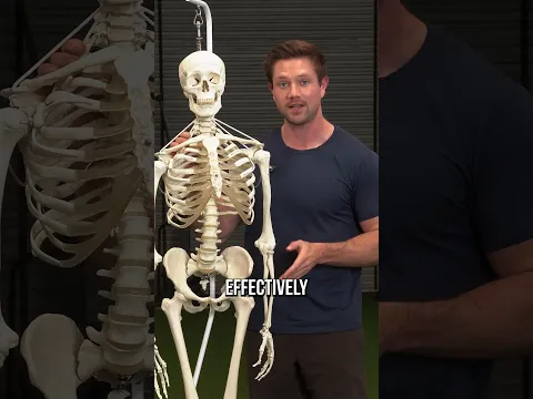 How To Fix A Tilted Pelvis