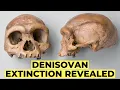 Lagu DNA Analysis Reveals the TRUE Reason Denisovans Went Extinct