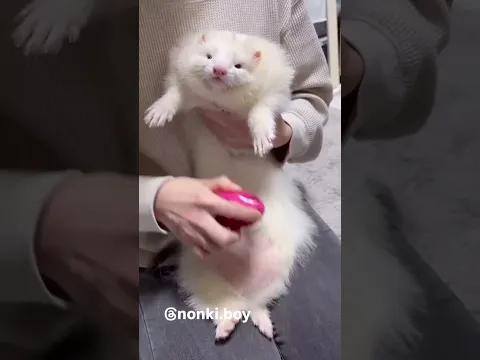 Looong Boi 😍