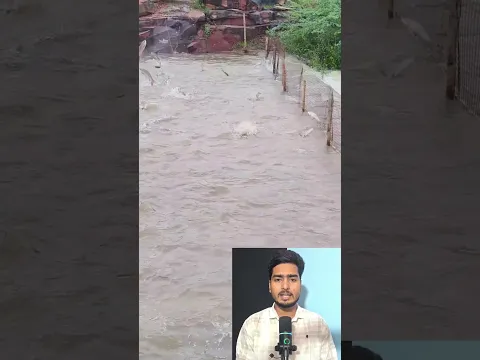 मछलियों ने लगाई छलांग, नजारा देख किसान भी रह गया हैरान