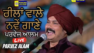 parvez alam new reel song parvez alam live parvez alam song punjab live show