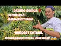 Download Lagu Kembali meledak kebun kopi misbahul munir pemupukan,management bahan setabil😱😱