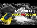 Download Lagu VARIASI MASTERAN PLECI VS SOGON NGEROLL SUARA JERNIH! KOMBINASI ROLL TEMBAK MUDAH DITIRU!