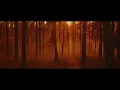 Download Lagu Peter Sandberg - Wait (ft. Siv Jakobsen) [Official Music Video]
